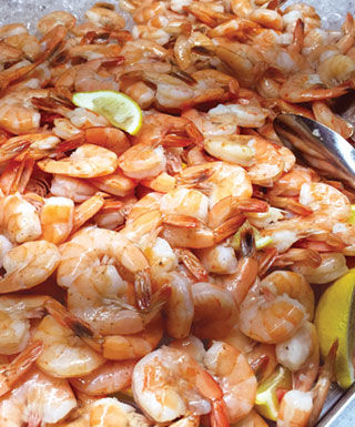 Shrimp